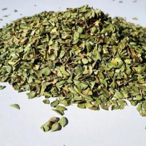 آویشن شیرازی عطاری سلامت