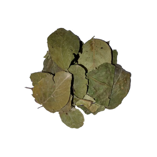 برگ به عطاری سلامت